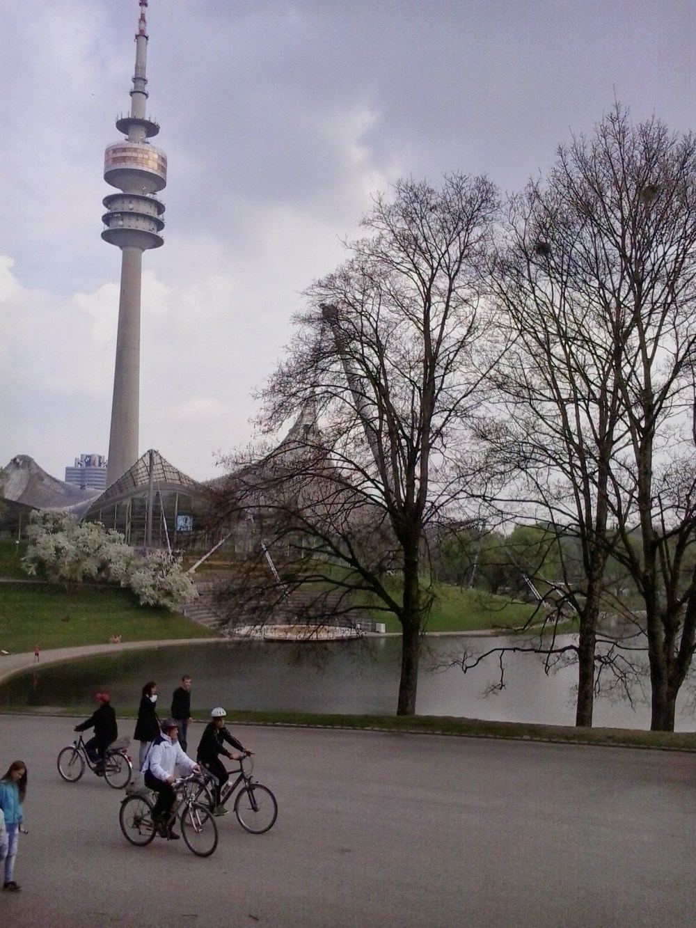 wp-1397393278164 image