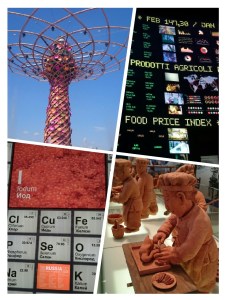 collage-1431815840109